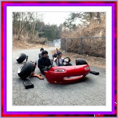 WM🎭#930🤡🍭🎪🎟️🤹🏻🐇🐒🐴🐘🦒🐫🐆🐅