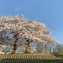 emie - my heart keeps beating on (j4xn)