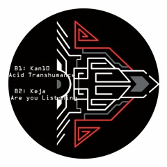 Kan10 - Acid Transhumance - Babylon Feedback 04