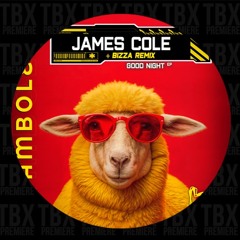 Premiere: James Cole - Good Night (BizZa Remix) [Bamboleo Records]