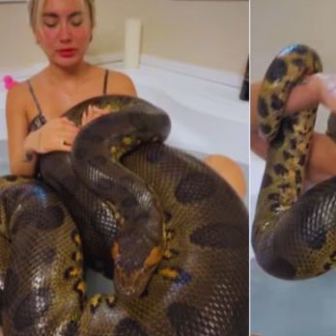 Stream 18++) Original new one girl one anaconda video link ruby and
