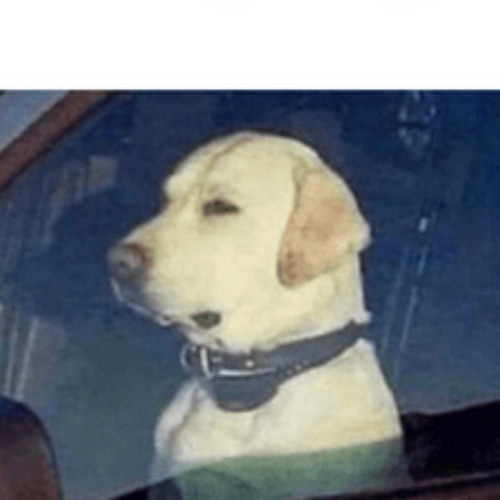 stuck in traffic
