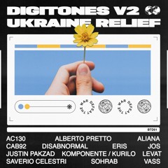 Various Artists - Digitones v2 Ukraine Relief (BTD01)