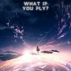 What If you fly?