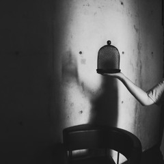 |frequency00|