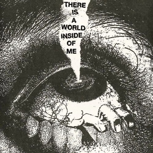 observe (shvde)