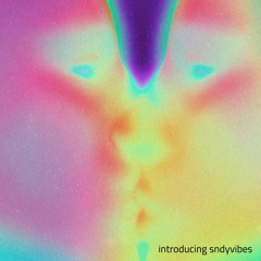 introducing sndyvibes