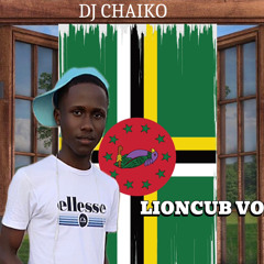 DJ CHAIKO LIONCUB VOL.3 MIX BOUYON 2024