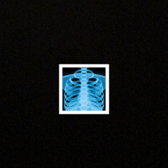 NO ONE NEEDS VIBRATIONS