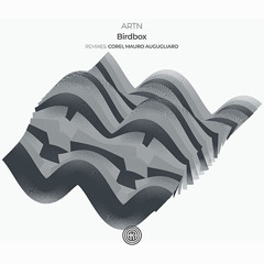 ARTN - Birdbox (Mauro Augugliaro Remix)