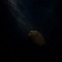 Marshland Discoveries - October 2025