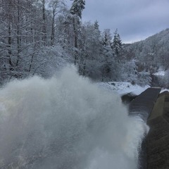 dreinglo - waste no time