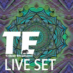 LIVE DJ SET By Tribal Elephant