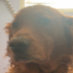 goob