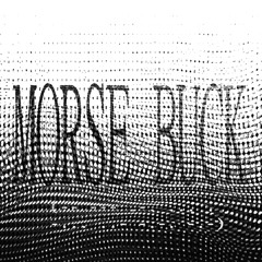 Morse Buck (17bucks fansong)