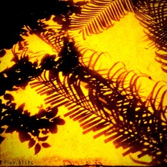 Keep Krushin' (Turk Song)