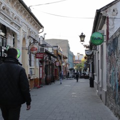Local Matters goes East: NGO in Novi Sad