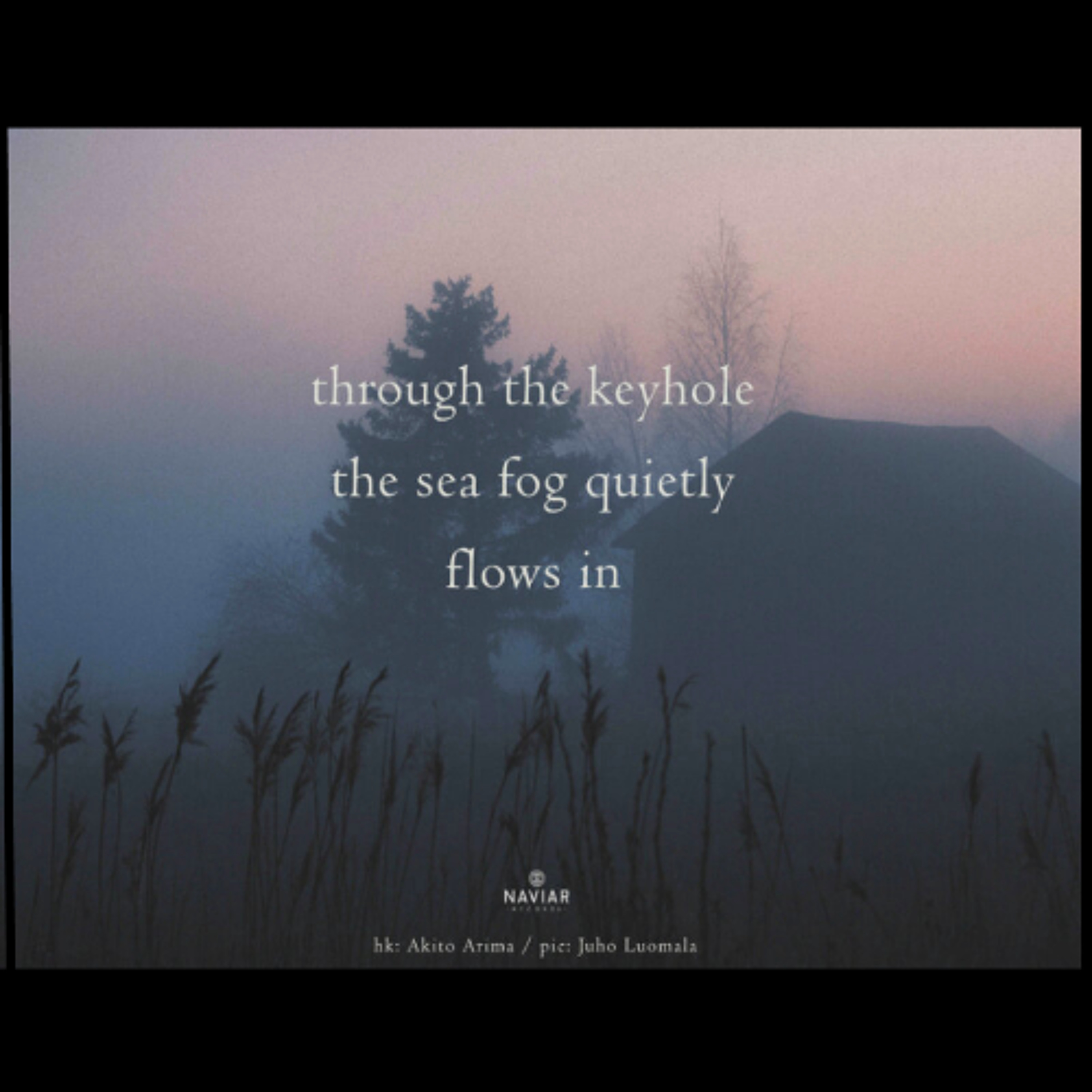 Coalescence [naviarhaiku653] episode artwork