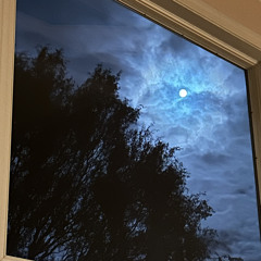 Eurydice Dragged to the Underworld