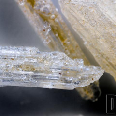 L-Lysine-d-amphetamine; (2S)-2,6-Diamino-N-[(2S)-1-phenylpropan-2-yl]hexanamide #27