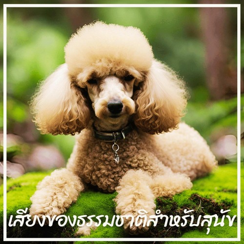 ช่วงบ่ายบนชายหาด