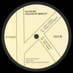 PREMIERE: Dj Steaw - Star Steady [Kaoz Theory]