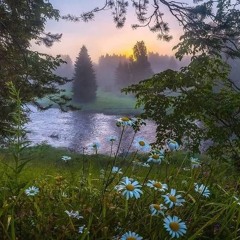 ???????? в душе не гребу