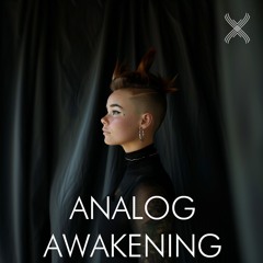 Analog Awakening