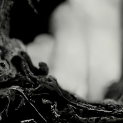 Beyond The Deep Void