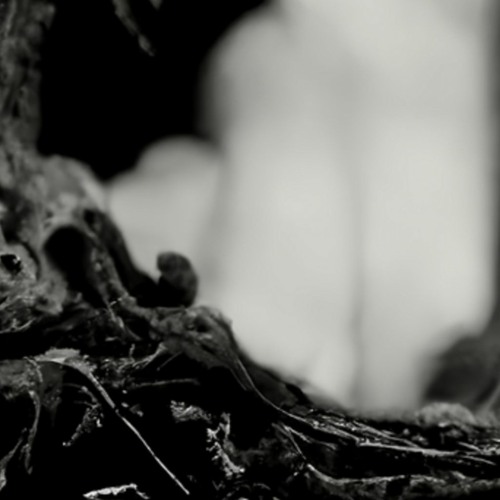 Beyond The Deep Void