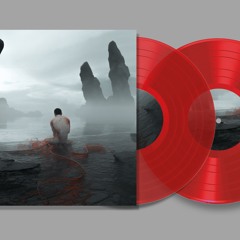 5. SNTS -  Stigmata (SNTS018LP)
