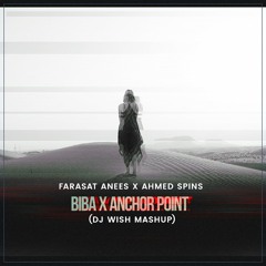 Farasat Anees X Ahmed Spins - BIBA X Anchor Point (DJ Wish Mashup)**FILTERED AUDIO**