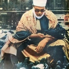 الصلاة والسلام عليك يا إمام المجاهدين