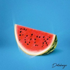 Delahaze - Watermelon Sugar ( Remix )