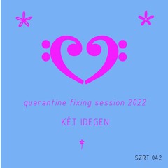 SZRT042 - Két Idegen - Quarantine Fixing Session 2022