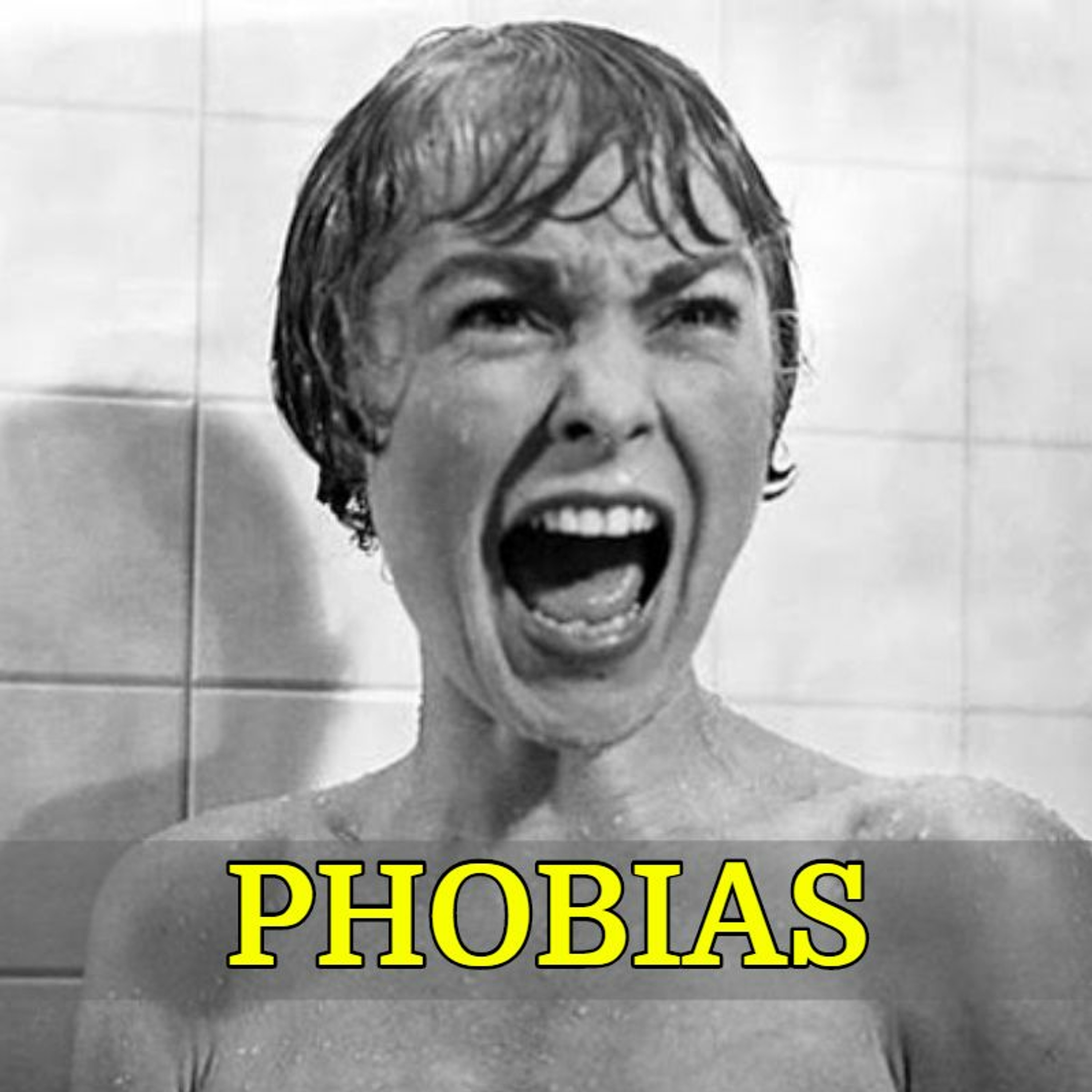 074 - Phobias