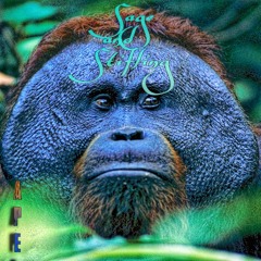 Ape