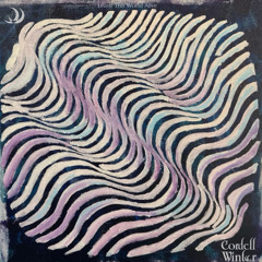 Cordell Winter - "Don’t Make A Sound"