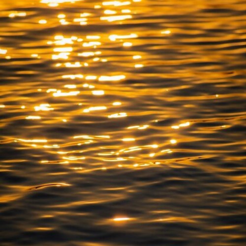 suze ijó @ velvet fest 2025