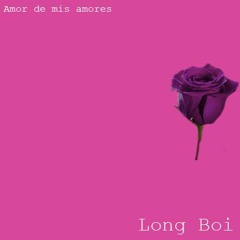 Amor De Mis Amores (Long Boi Remix) [Dubstep]