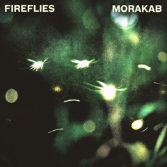 FIREFLIES