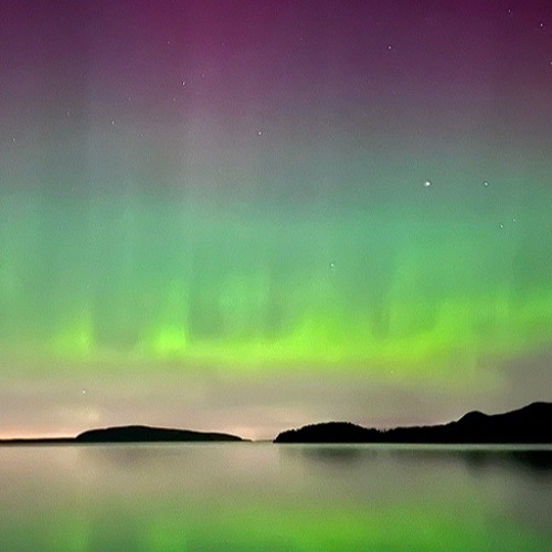 CHRONICLE - Alex Shapiro