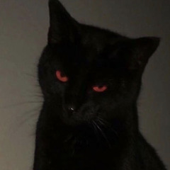 Mr. Kitty - after dark guitar cover with tabs