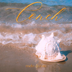 Conch