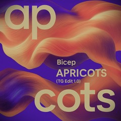 Bicep - Apricots (TG Edit 1.0)