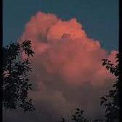 Em Đau Rồi Đấy Lofi