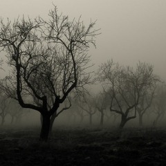 Dancing in the Woods