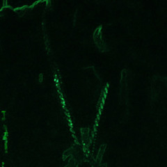 "Lilfye all the oops get smoked Like That".m4a