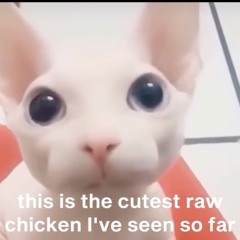 I can’t help but sympathize x everybody tells me nothing - wewantselffufillment edit/remix