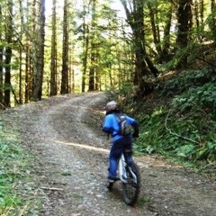 i love you a little too much all the time